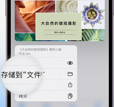 武夷山apple维修中心分享iPhone文件应用中存储和找到下载文件