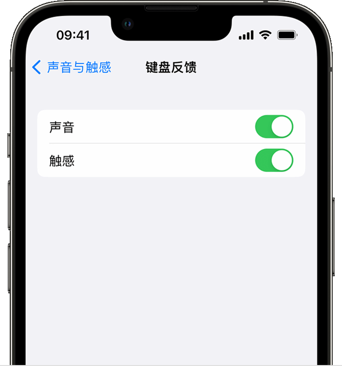 武夷山苹果14维修店分享如何在 iPhone 14 机型中使用触感键盘 