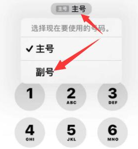 武夷山苹果14维修店分享iPhone 14 Pro Max使用副卡打电话的方法 