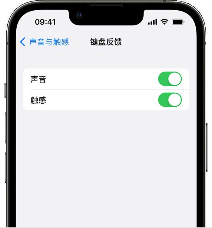 武夷山苹果14维修分享iPhone 14 系列机型如何开启键盘声音或触感反馈 
