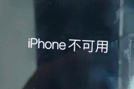 武夷山苹果服务网点分享锁屏界面显示“iPhone 不可用”如何解决 