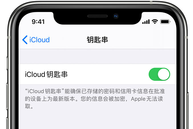 武夷山苹果手机维修分享在 iPhone 上开启 iCloud 钥匙串之后会储存哪些信息 