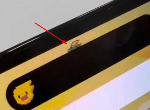 武夷山苹果14维修分享iPhone 14 Pro Max灵动岛怎么养宠物 