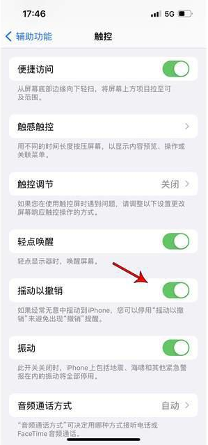 武夷山苹果手机维修分享iPhone手机如何设置摇一摇删除文字 