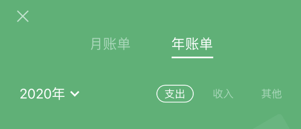 武夷山苹果手机维修分享如何在 iPhone 上查看支付宝和微信年支出账单 
