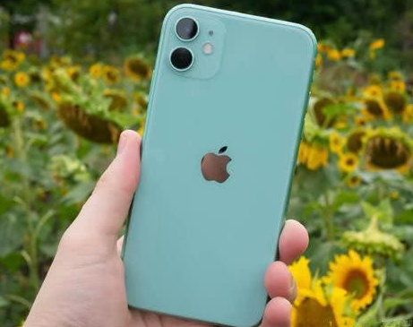 武夷山苹果维修点分享iPhone 11锁屏密码认知与使用科普 